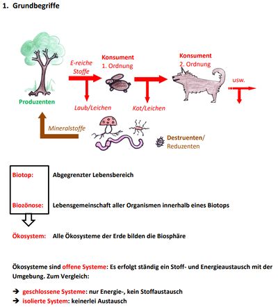 Ökologi Grundbegrffe.jpg