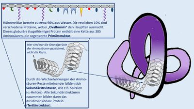 Einheit Eiweiße F2 Bau.jpg