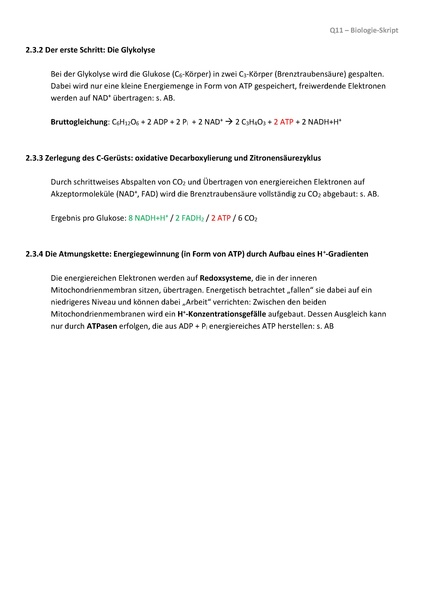 Datei:2340 S Glykolyse Atmungskette V2.pdf