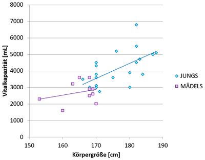 VitKap Grafik V19.jpg